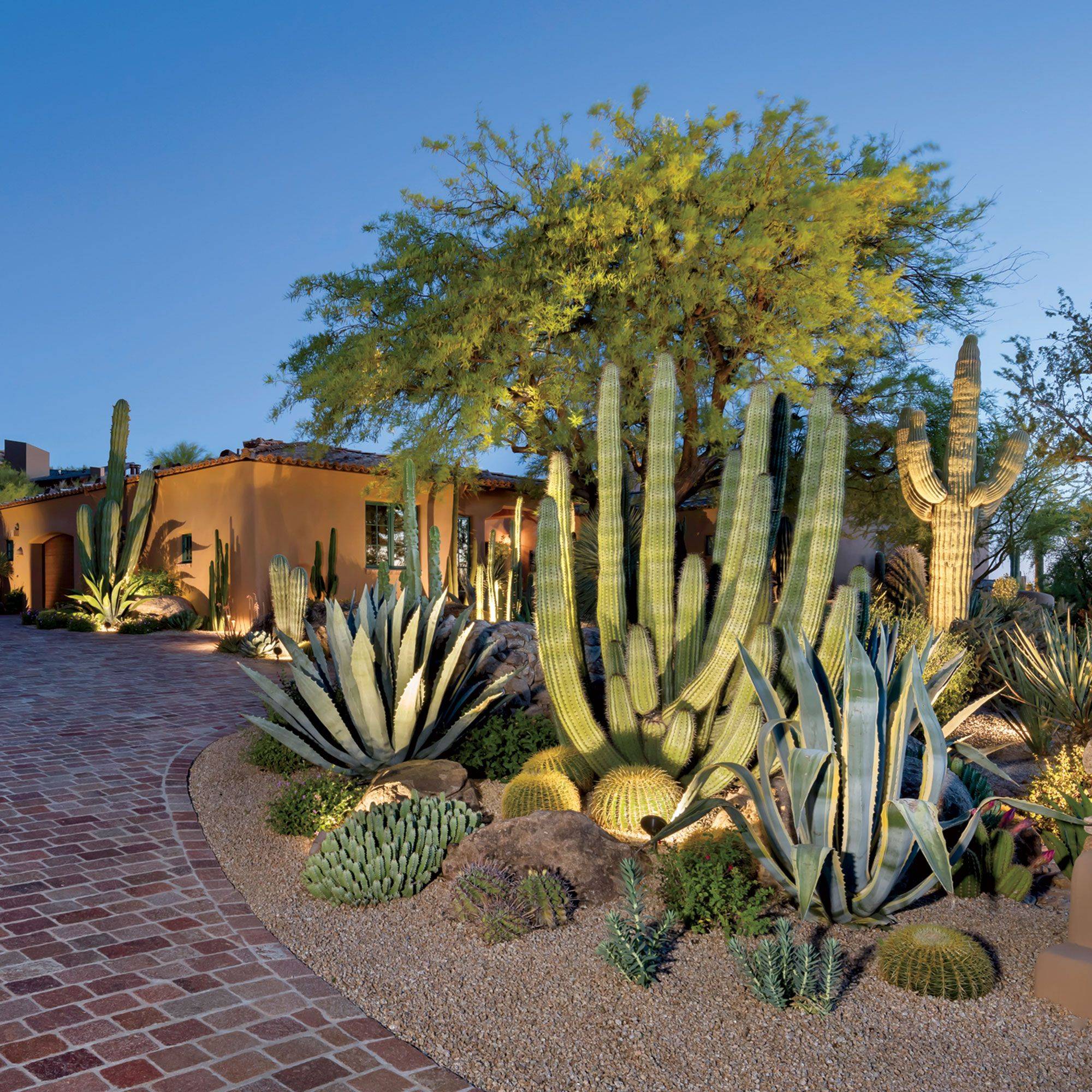 Phoenixscottsdale Desert