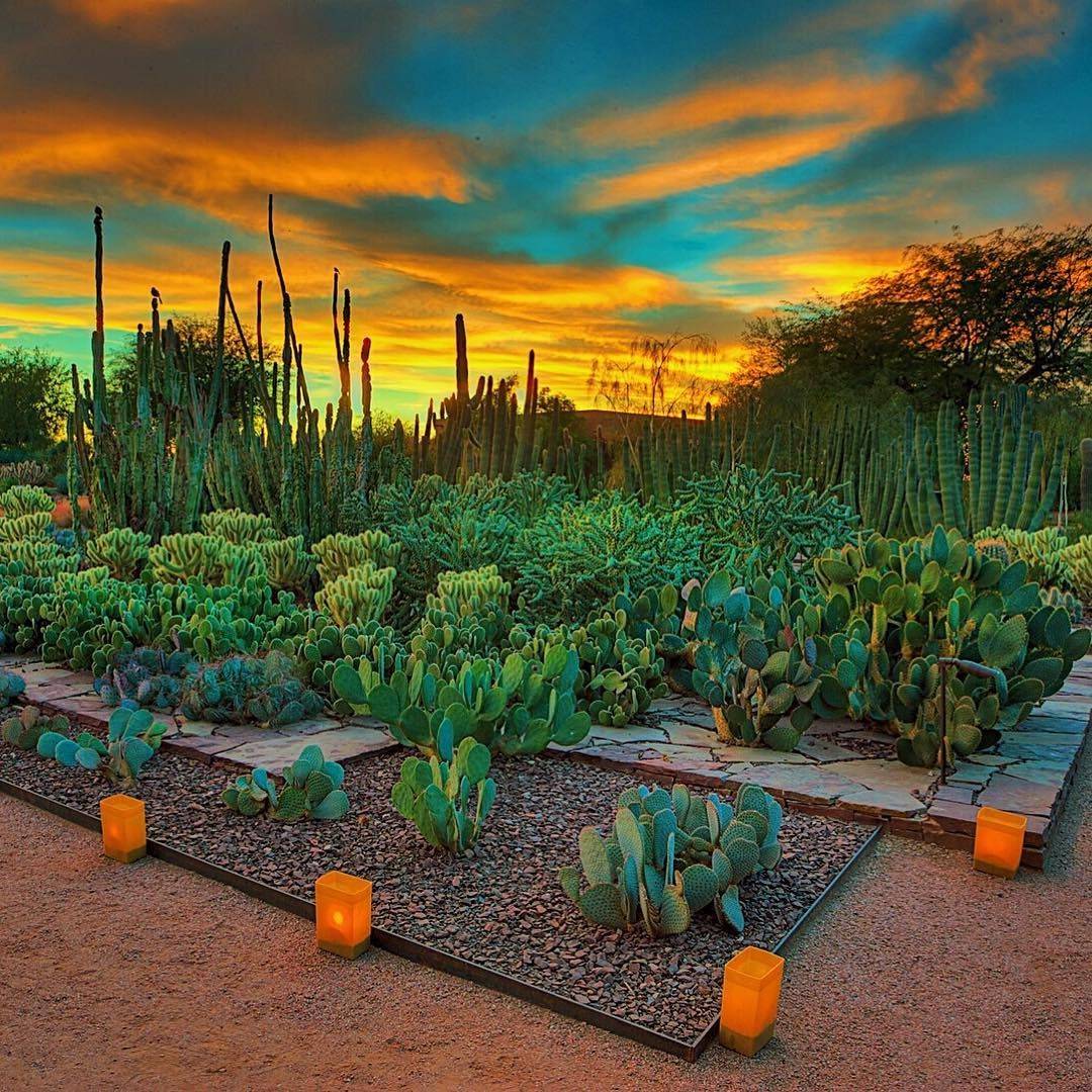 Ottosen Entry Garden Desert Botanical Phoenix
