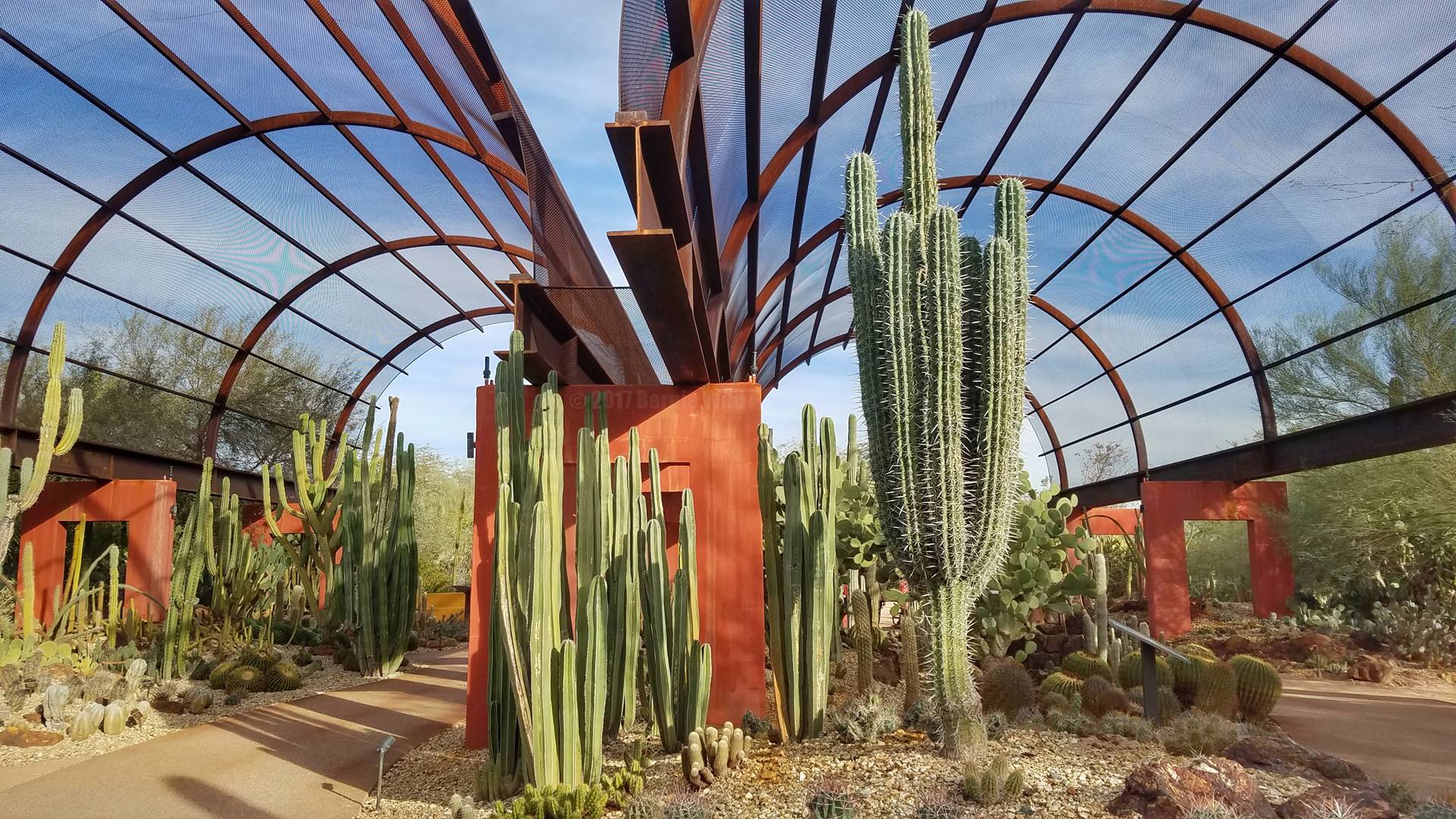 The Most Beautiful Gardens