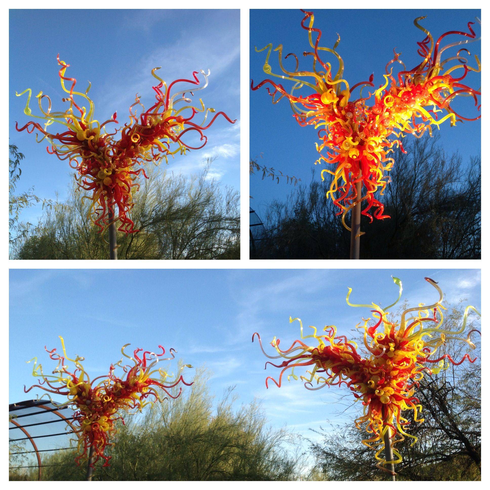 The Phoenix Desert Botanical Garden