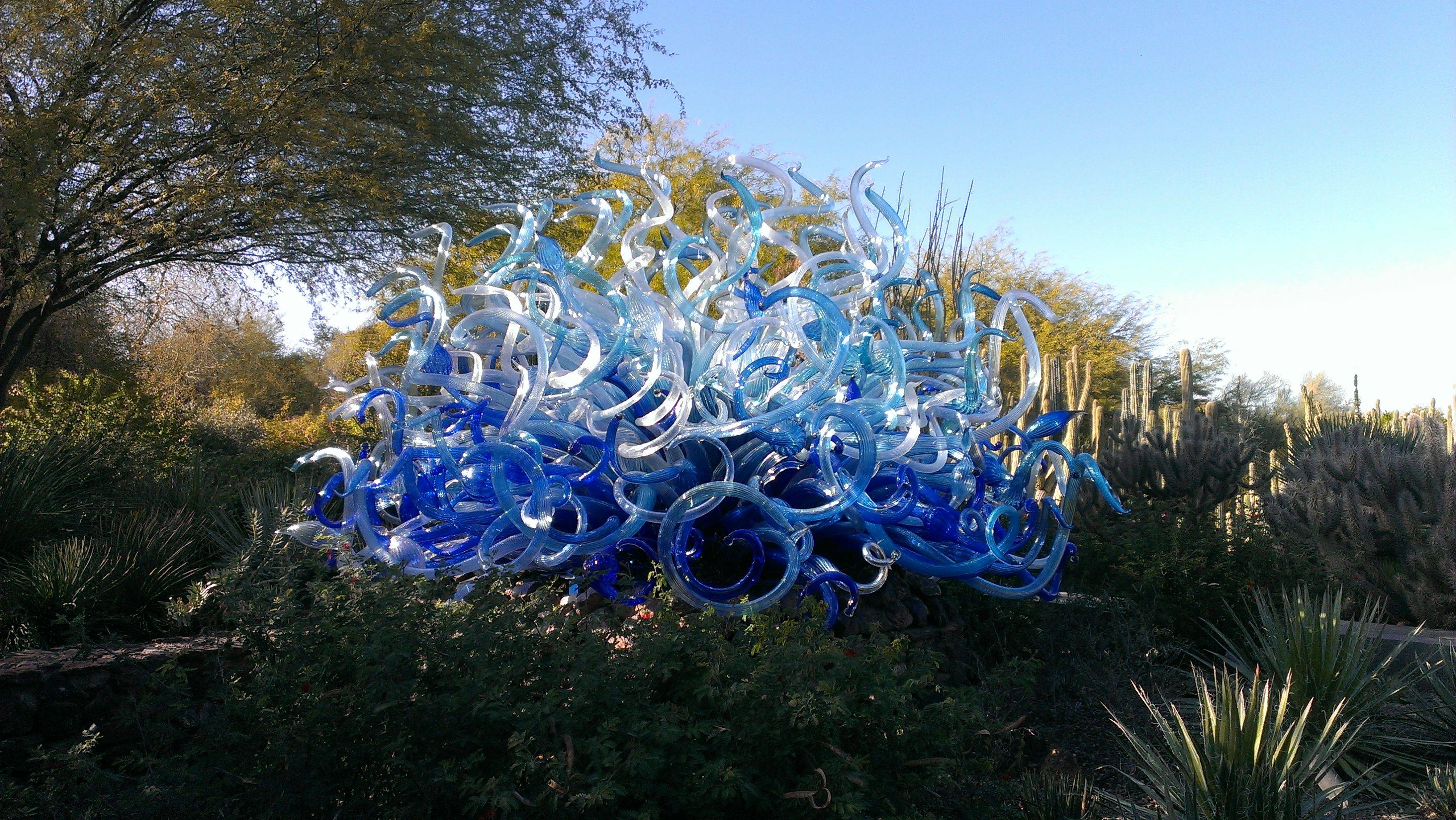 Desert Botanical Gardens