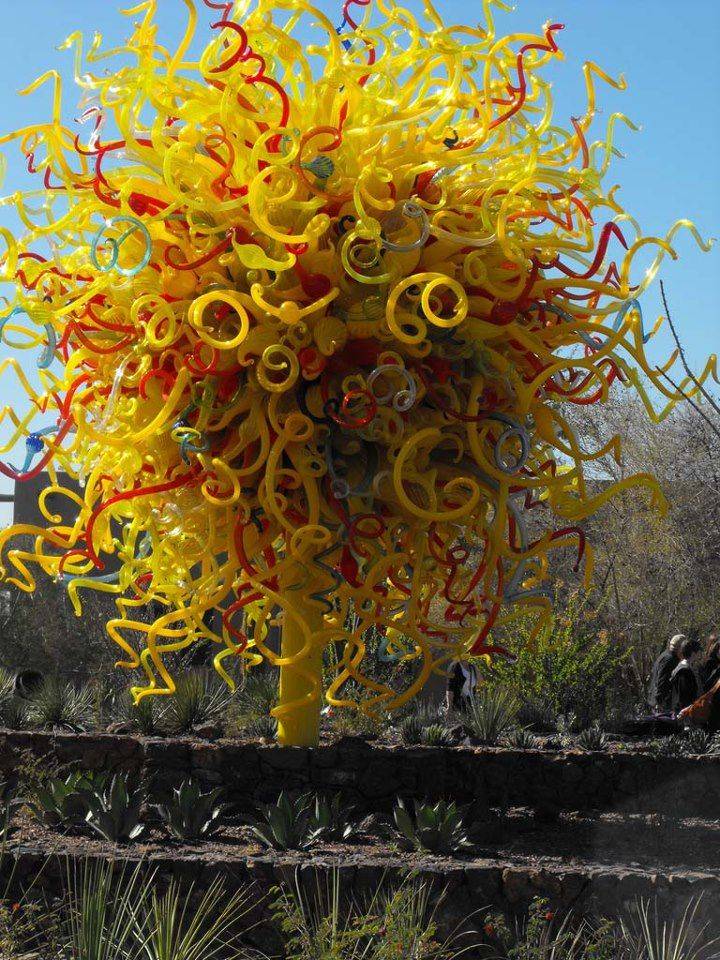 Desert Botanical Gardens