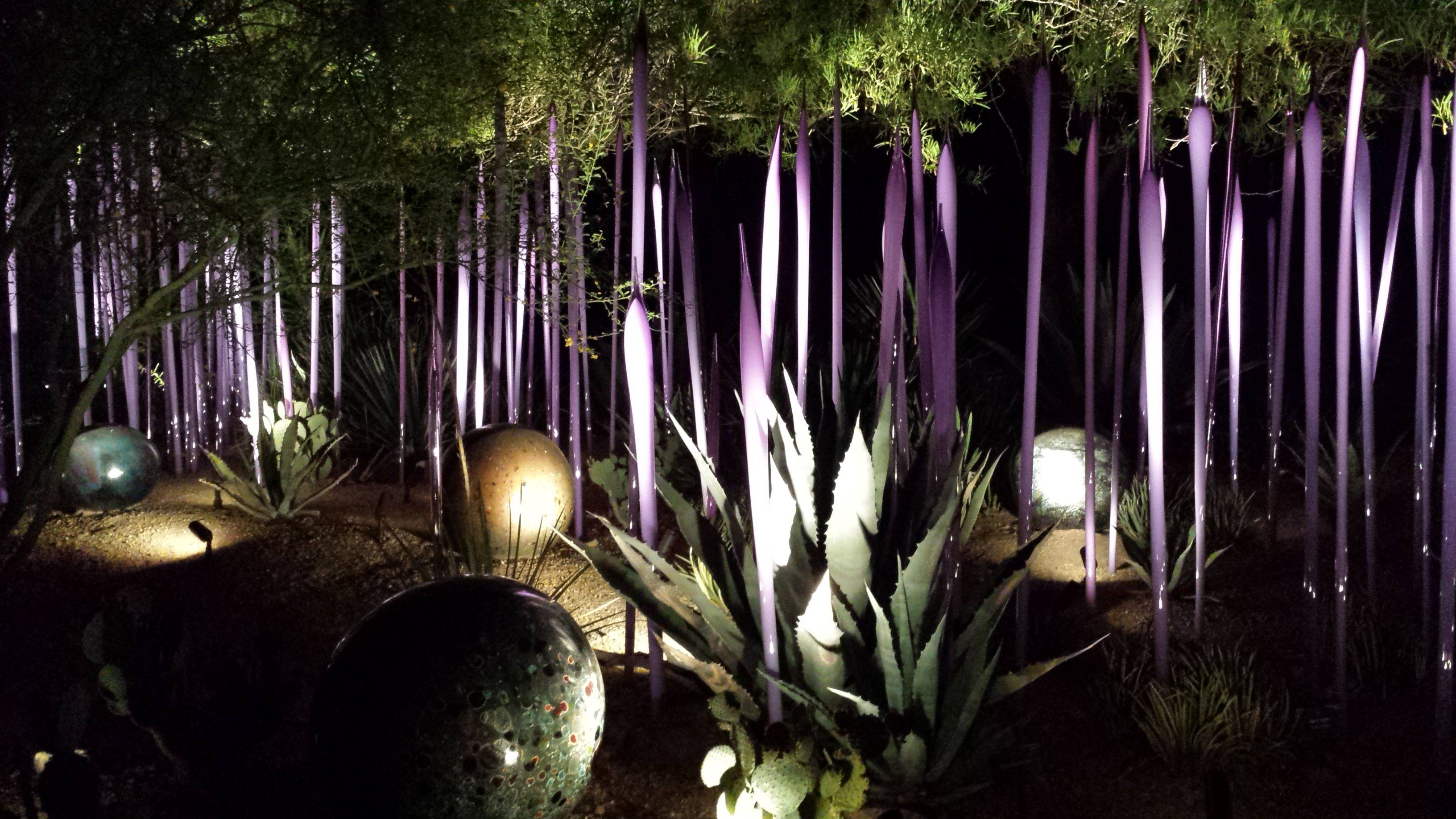 The Desert Botanical Garden