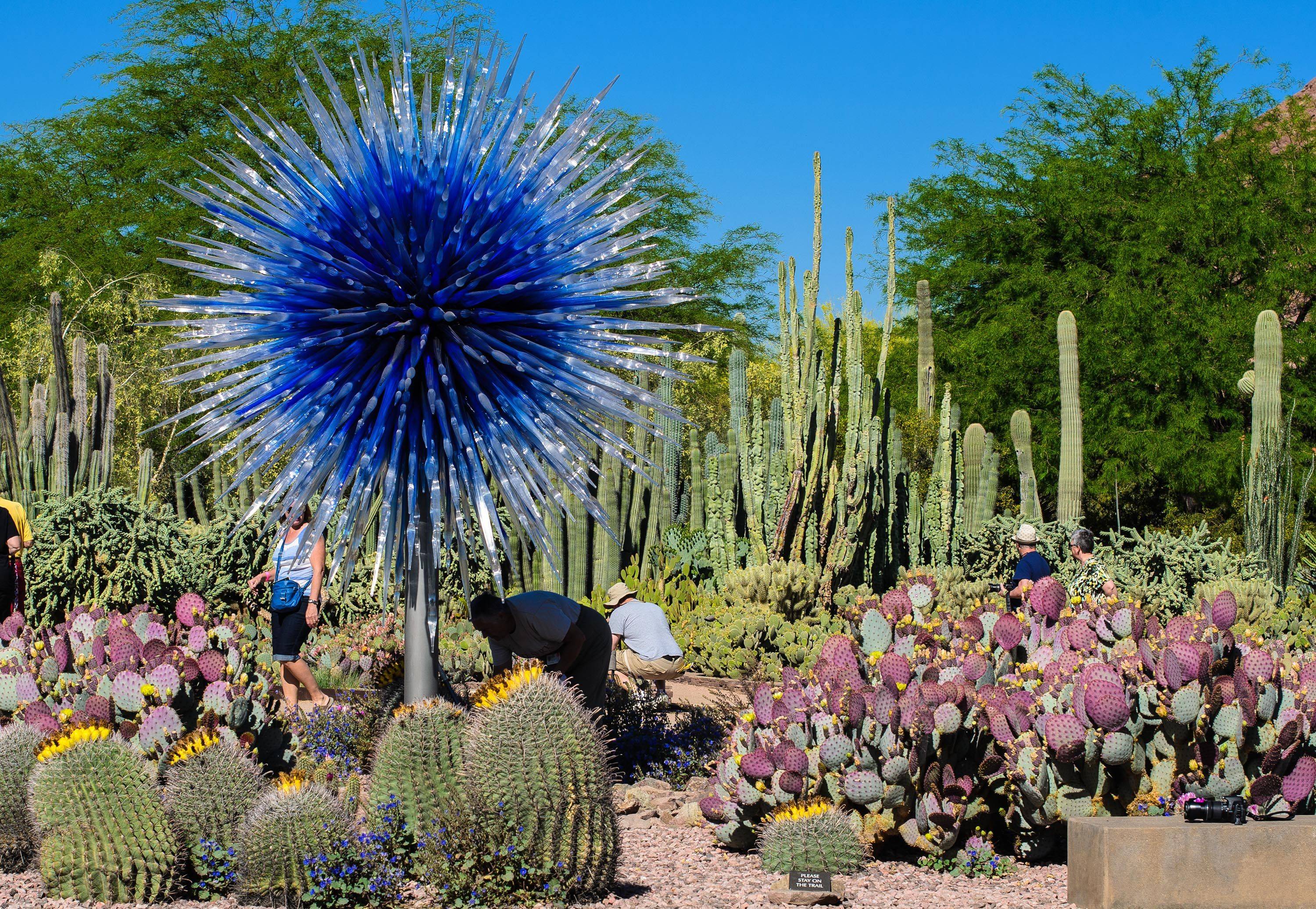 Phoenix Special Exhibit