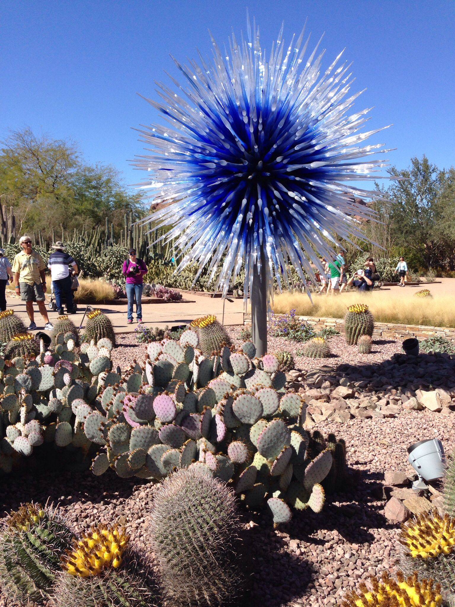 21 Chihuly Phoenix Desert Botanical Garden Ideas For This Year