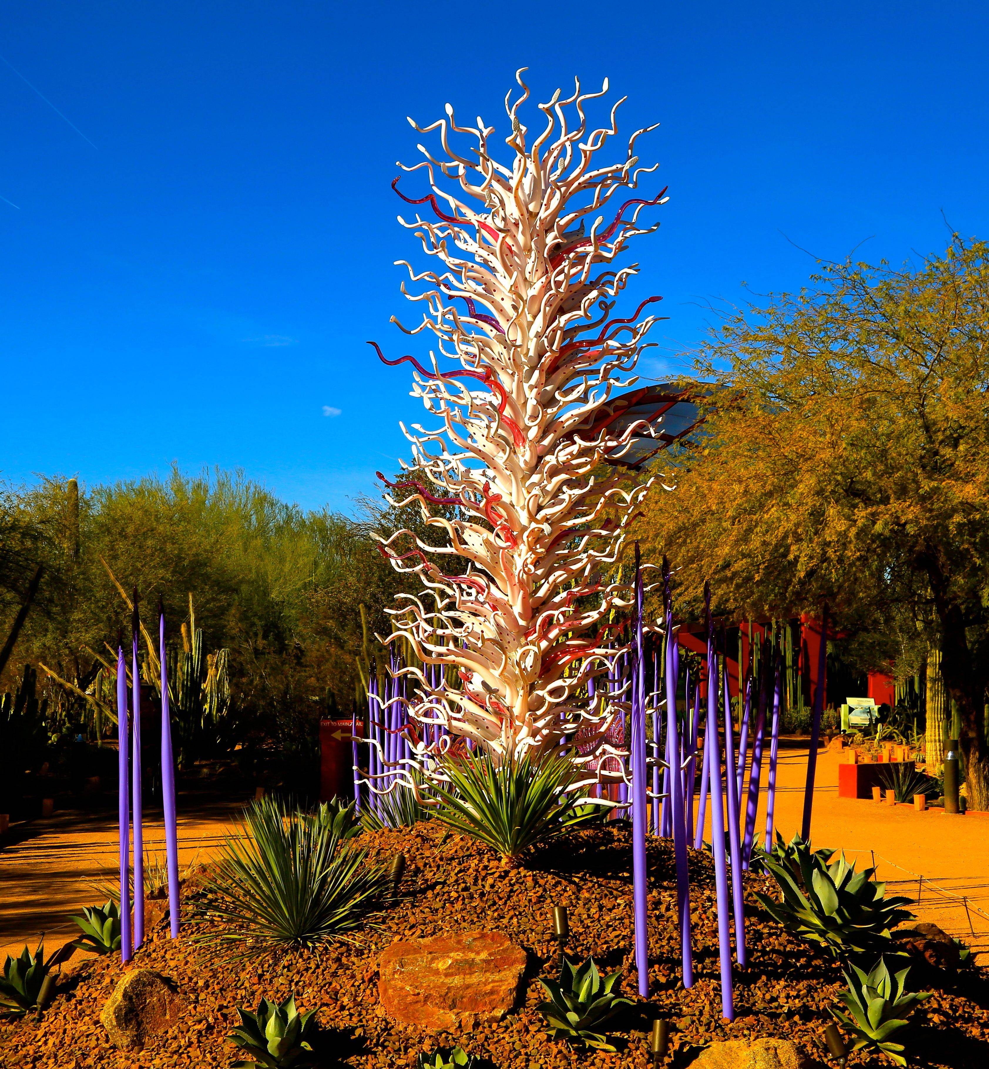 Phoenix Botanical Gardens