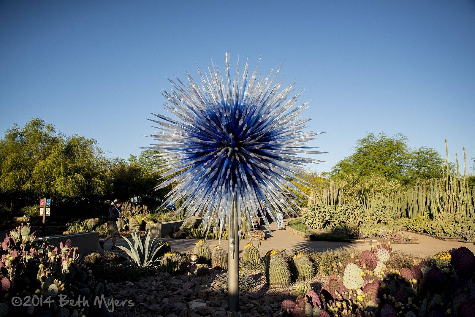 W Chihuly Exhibit Desert Botanical