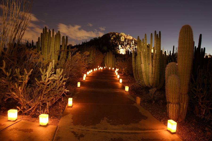 Las Noches De Las Luminarias