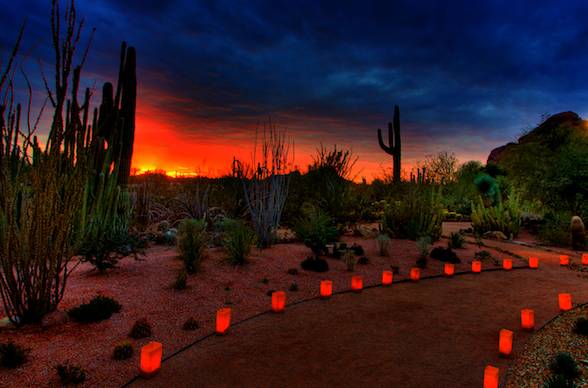 Las Noches De Las Luminarias Votive Candles
