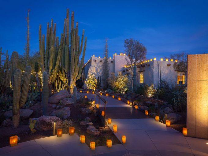 Wednesday Desert Botanical