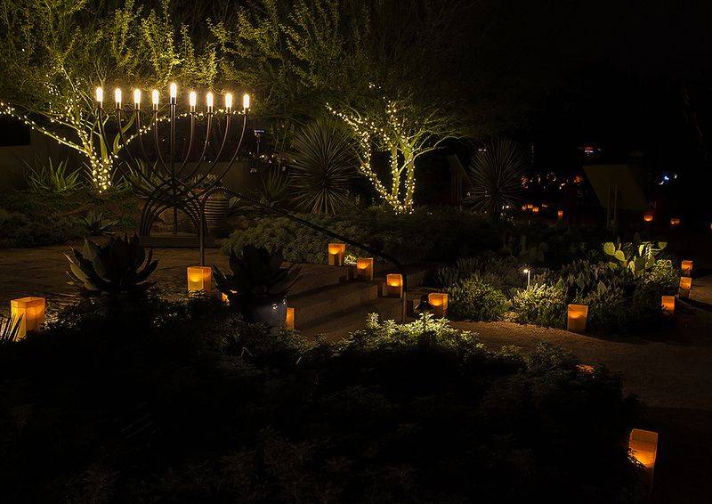 18 Luminarias Desert Botanical Garden Ideas You Must Look SharonSable