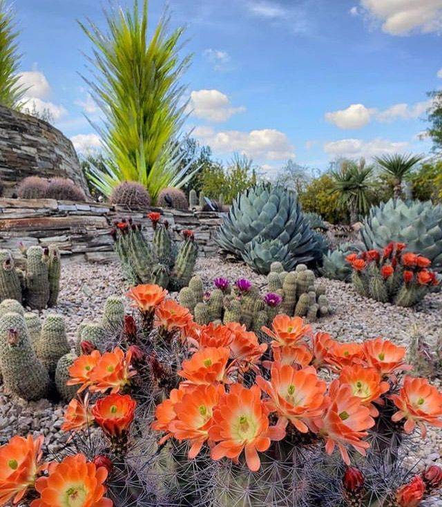 Fairchild Tropical Gardens Tropical Garden