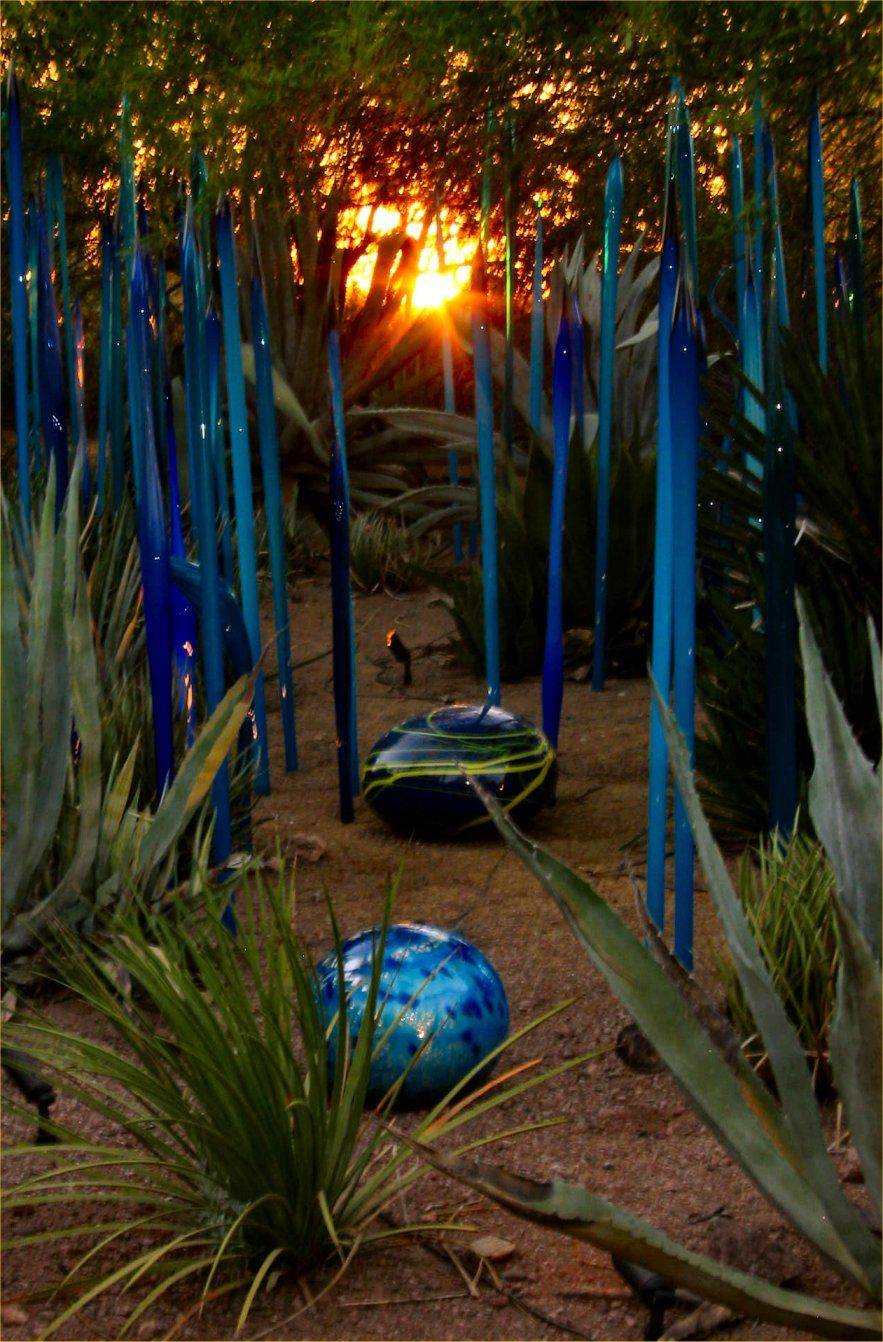 Arizona Desert Botanical Garden