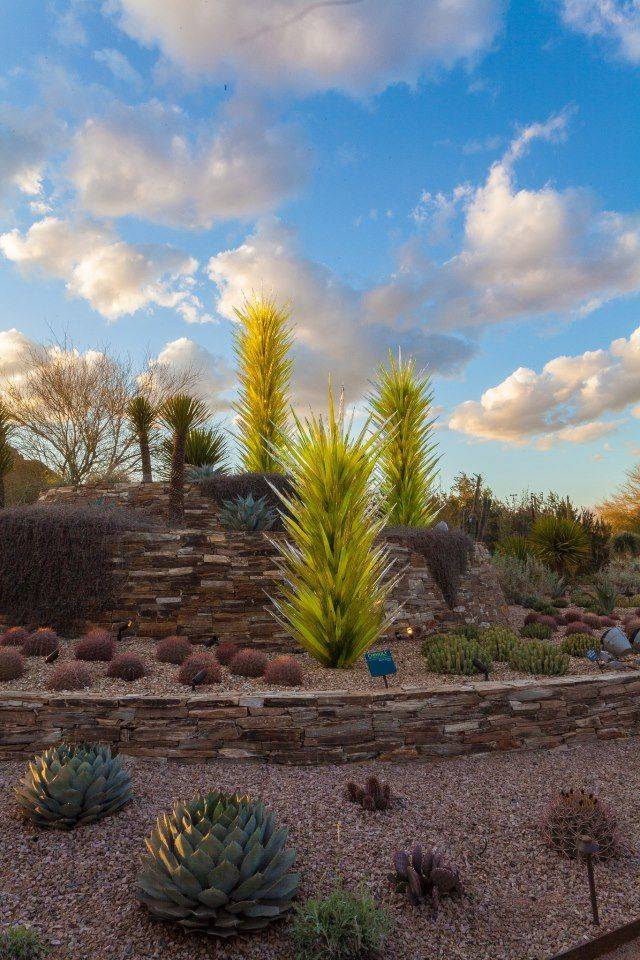 Las Noches De Las Luminarias Desert Botanical Garden