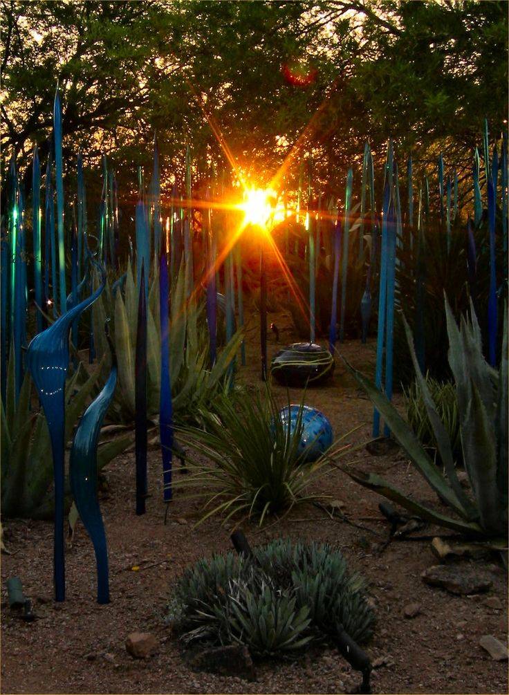 Desert Botanical Garden