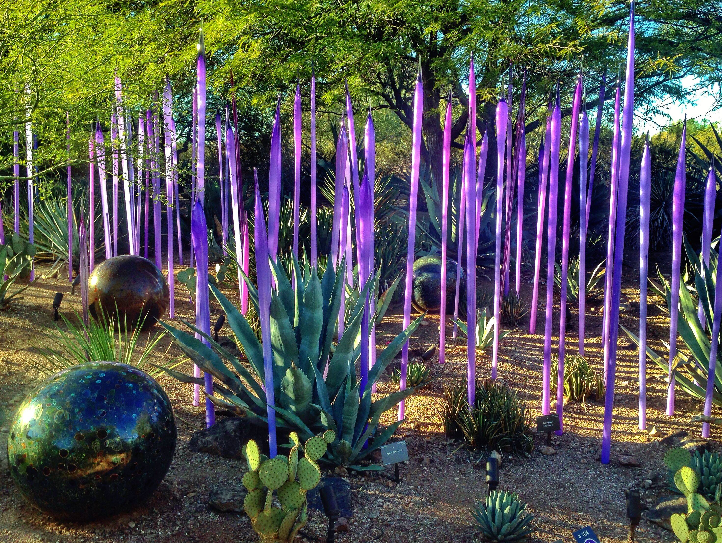 Desert Botanical Garden