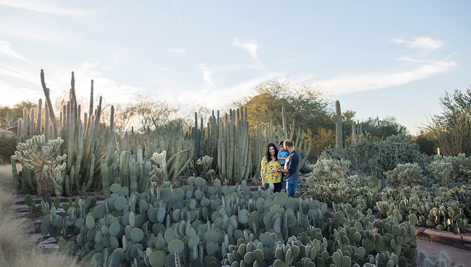 Scottsdale Scottsdale Water Conservation Workshops