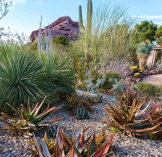 Arizona Bachelorette Travel Guide