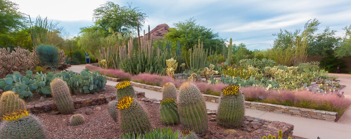 Scottsdale Arizona