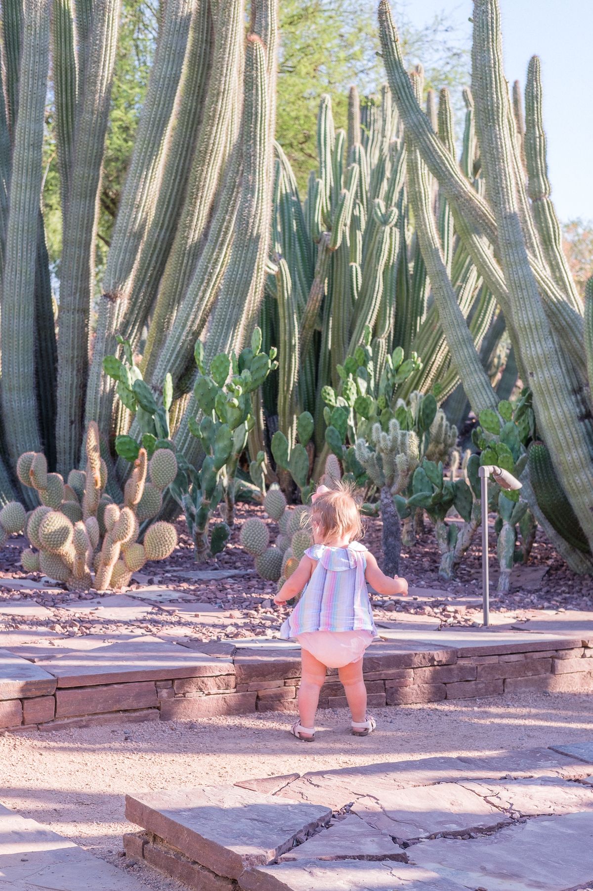 Scottsdale Official Travel Site