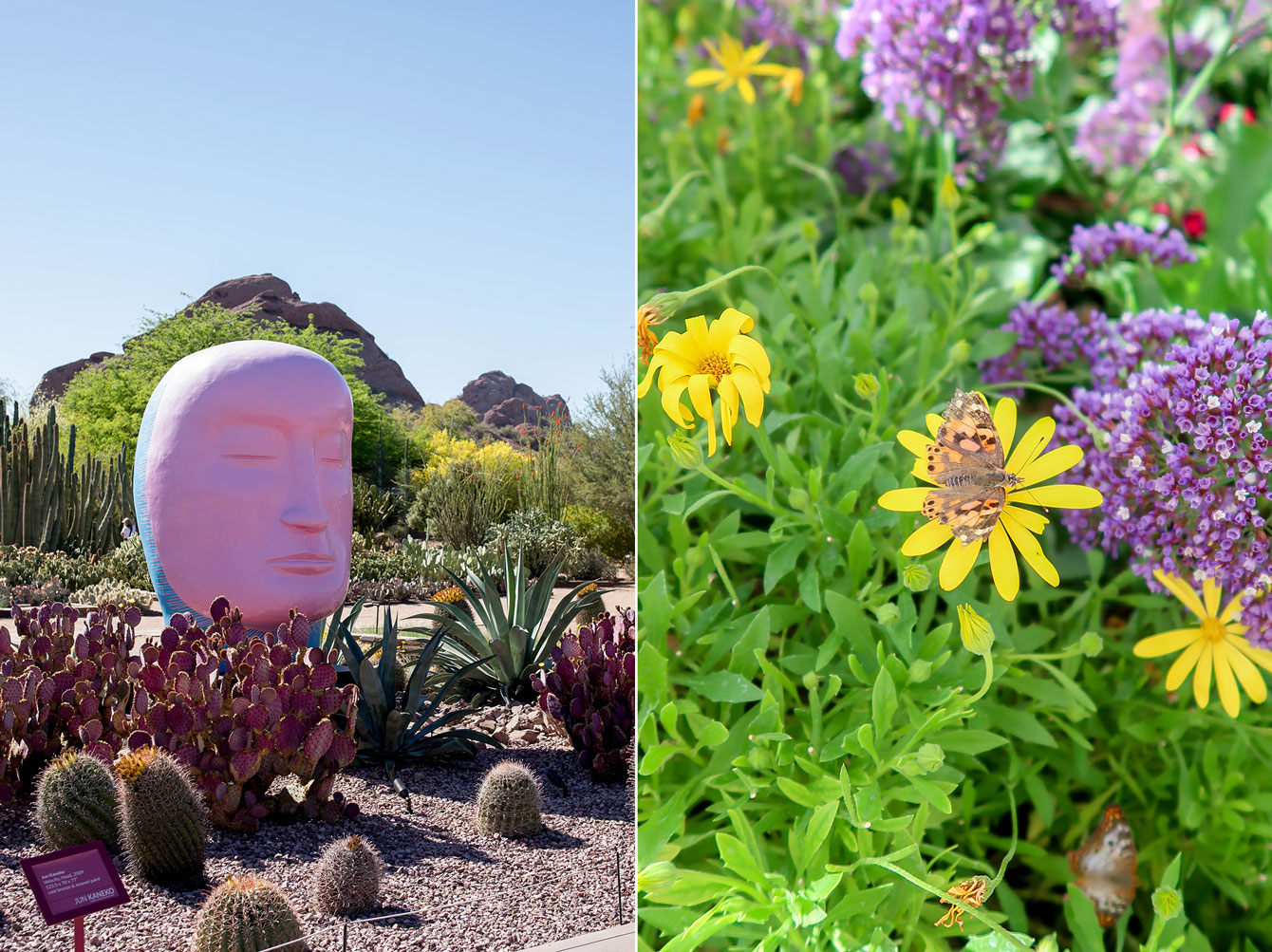 Botanical Gardens Desert Garden