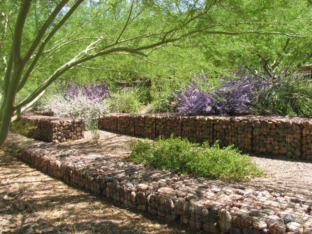 The Desert Botanical Garden
