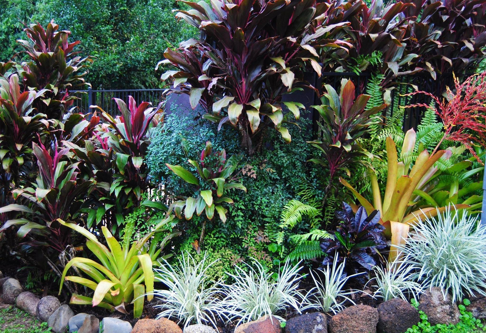 18 Tropical Garden Ideas Australia You Must Look SharonSable