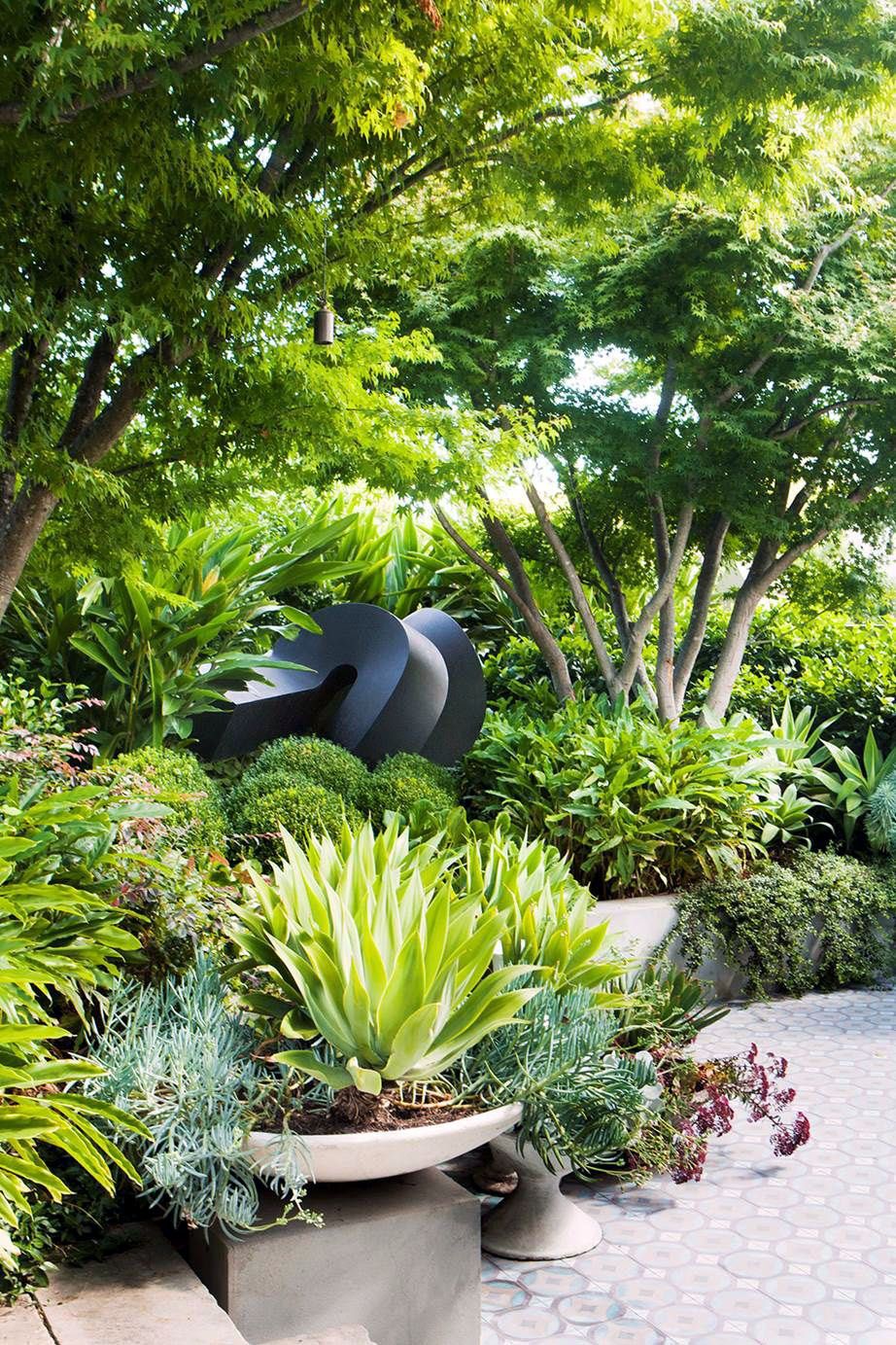 18 Tropical Garden Ideas Australia You Must Look SharonSable