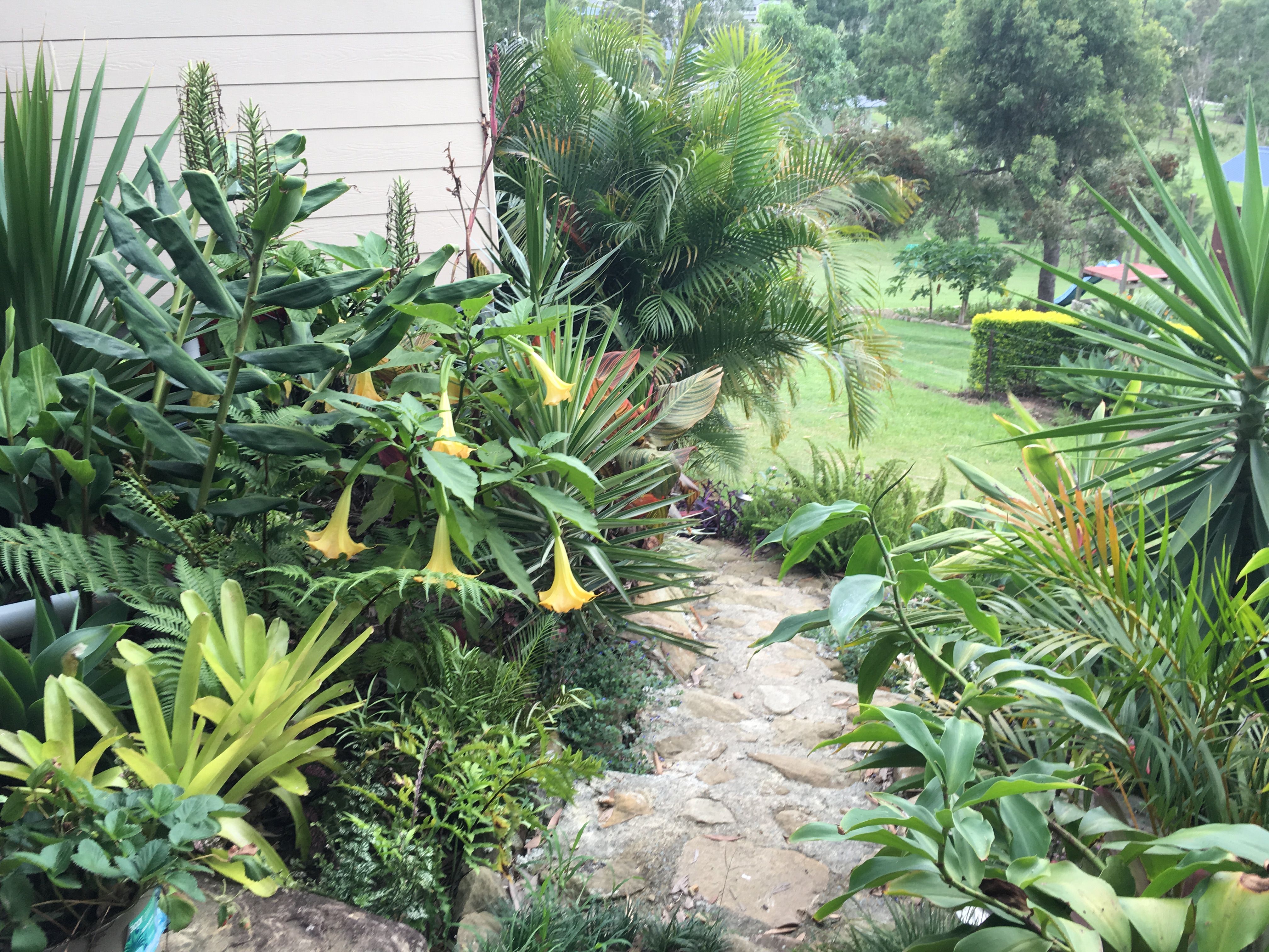 Dennis Hundscheidts Tropical Garden