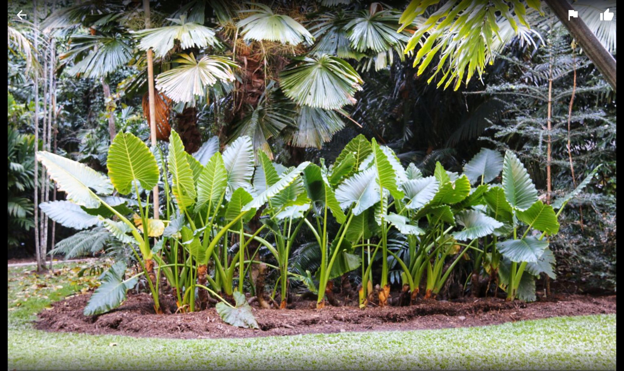 Melbourne Australia Florida Queensland