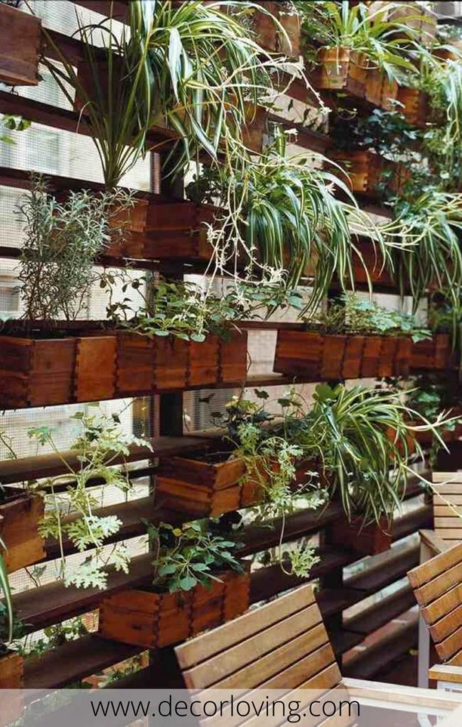 Vertical Garden Diy