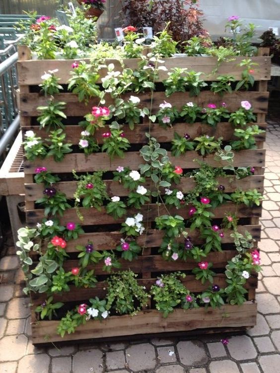 Diy Vertical Garden Wall Design