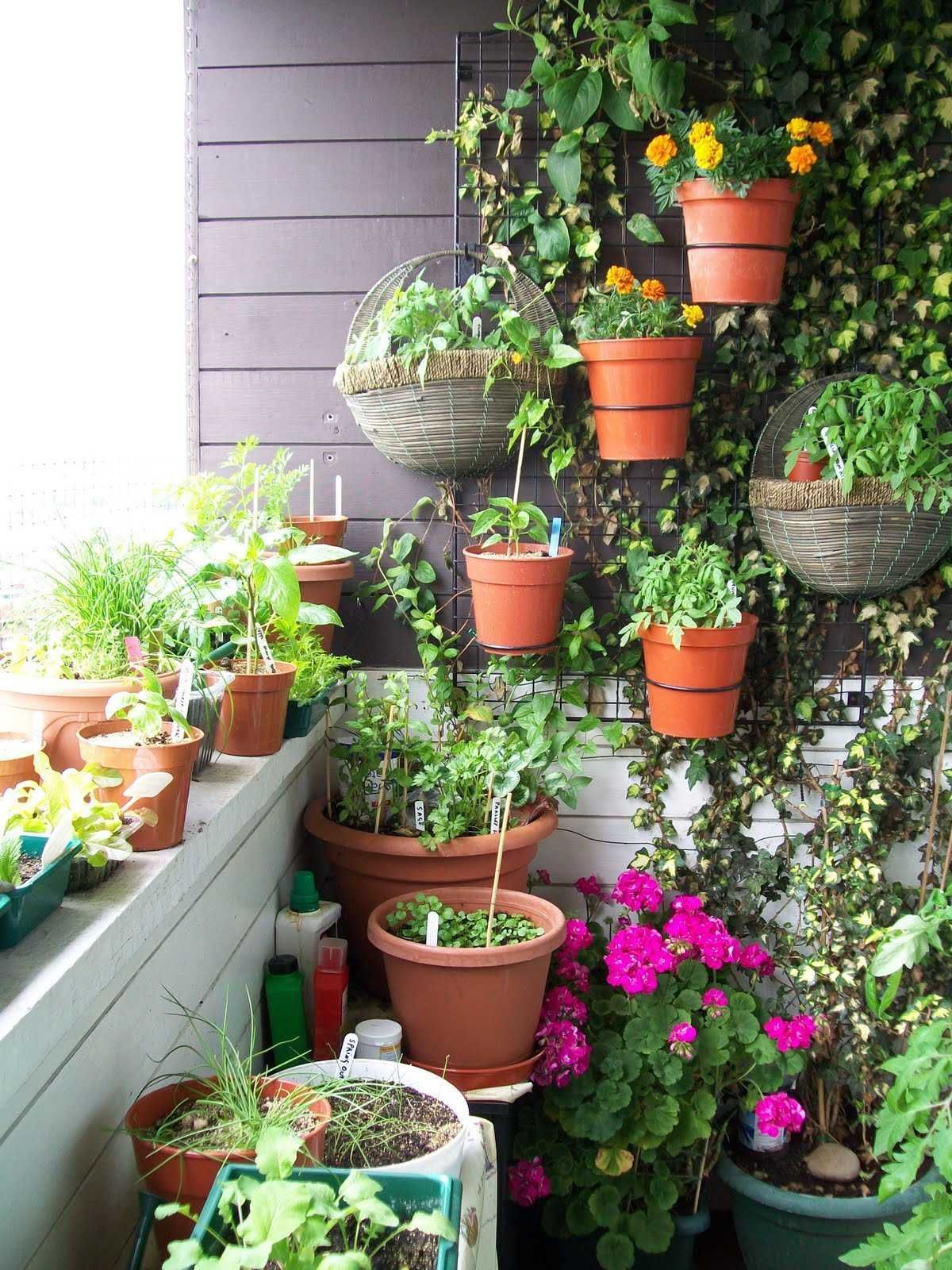 Deck Vegetable Garden Ideas