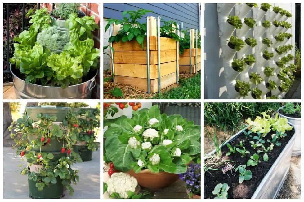 Stunning Container Vegetable Garden Design Ideas