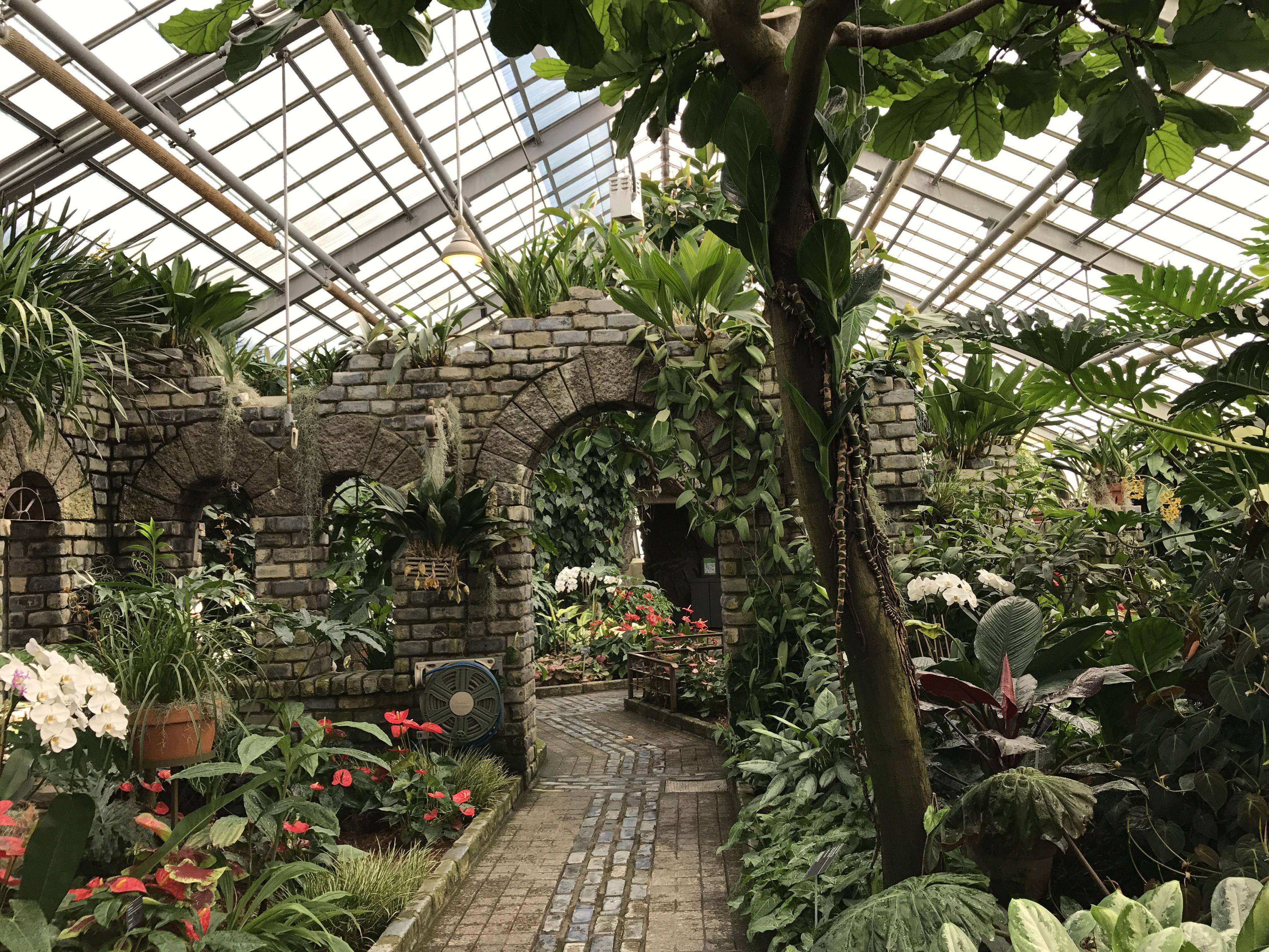 The Famous Botanical Gardens