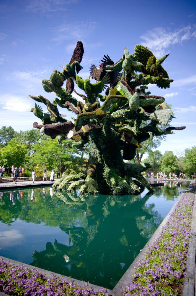 The Montreal Botanical Garden