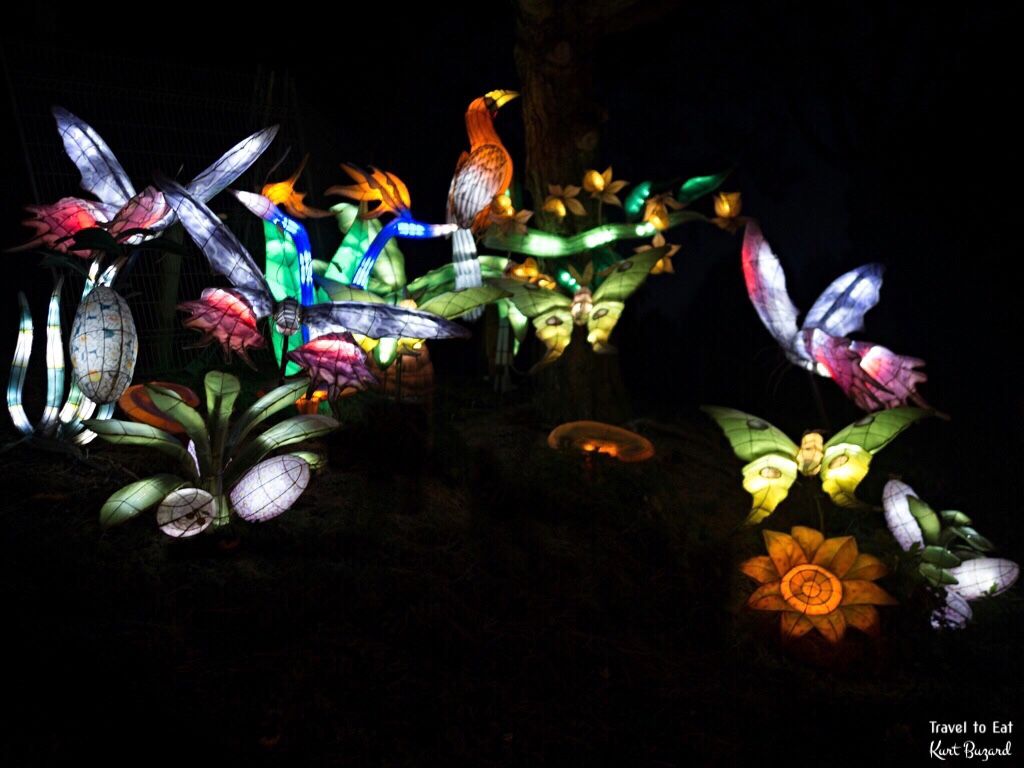 The Huntsville Botanical Garden Chinese