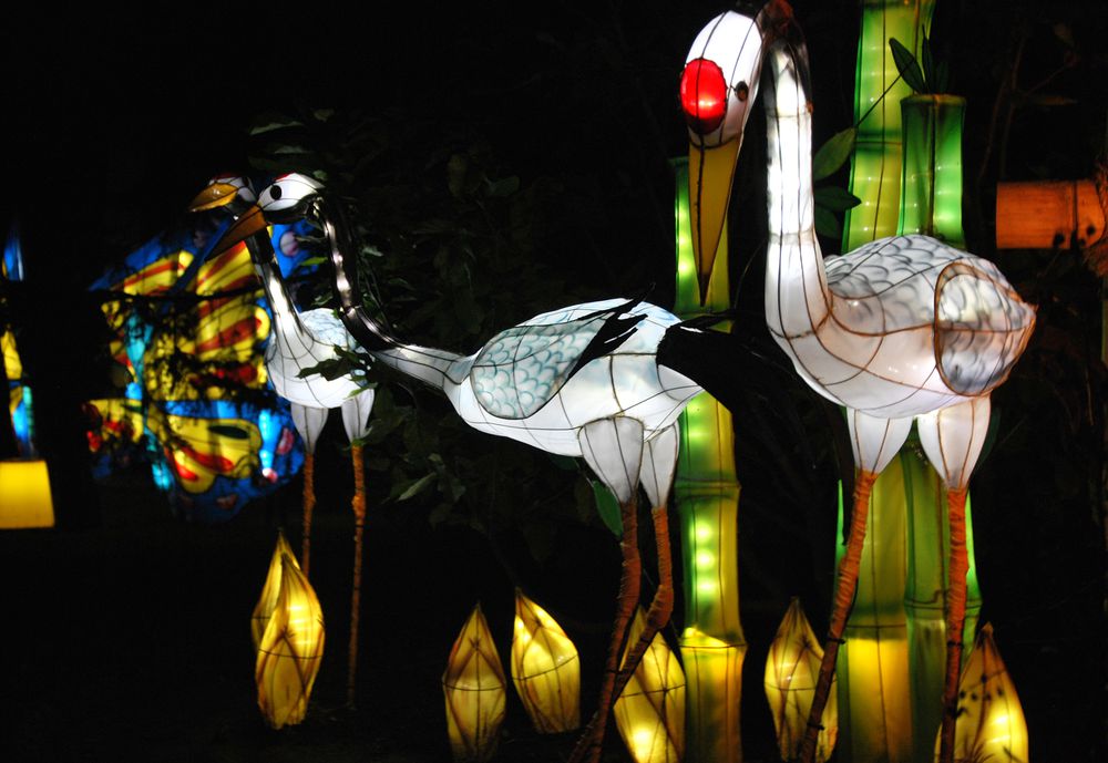 Light Botanical Gardens