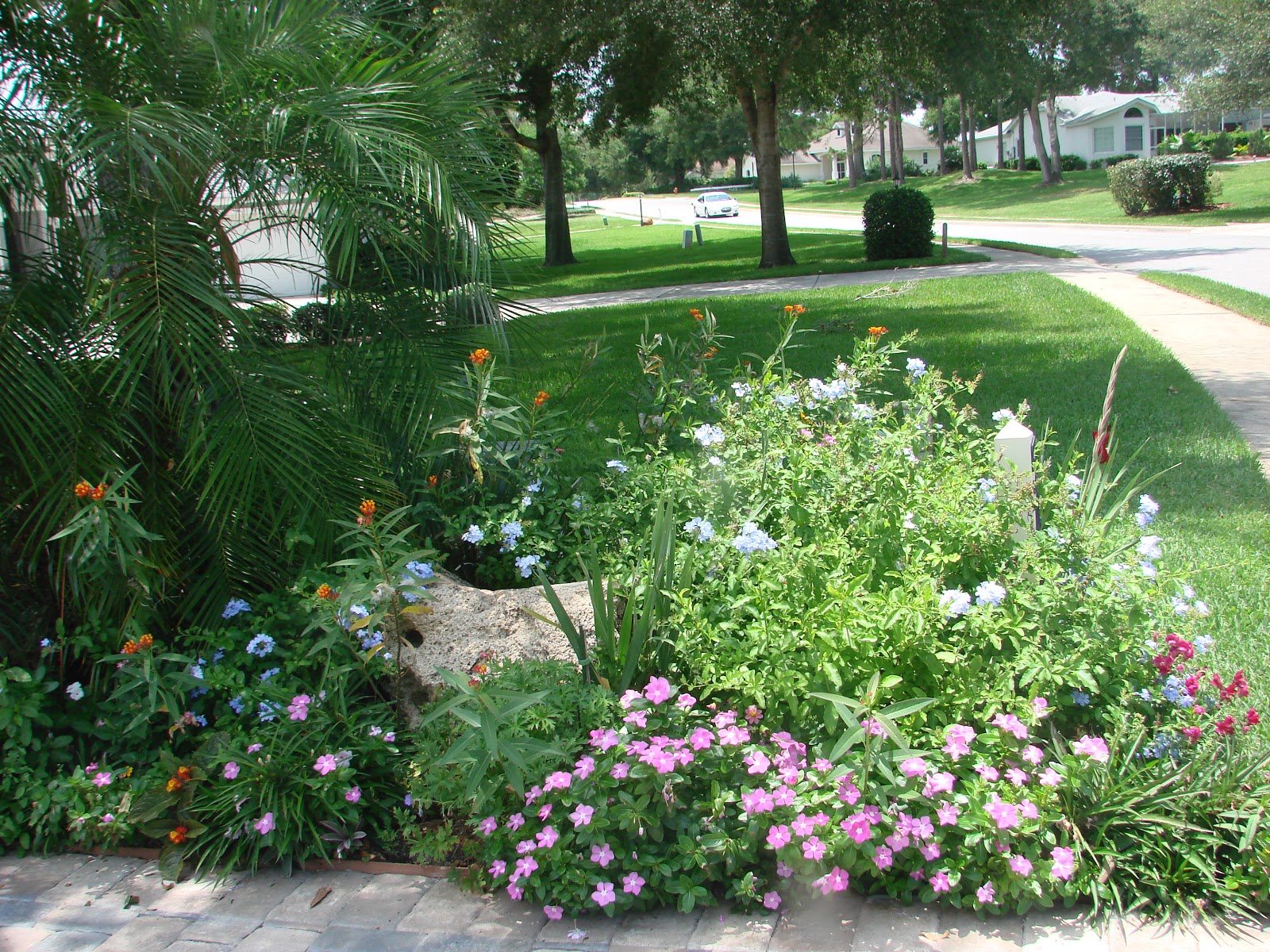Simplegardenlandscapedesign Florida Landscaping