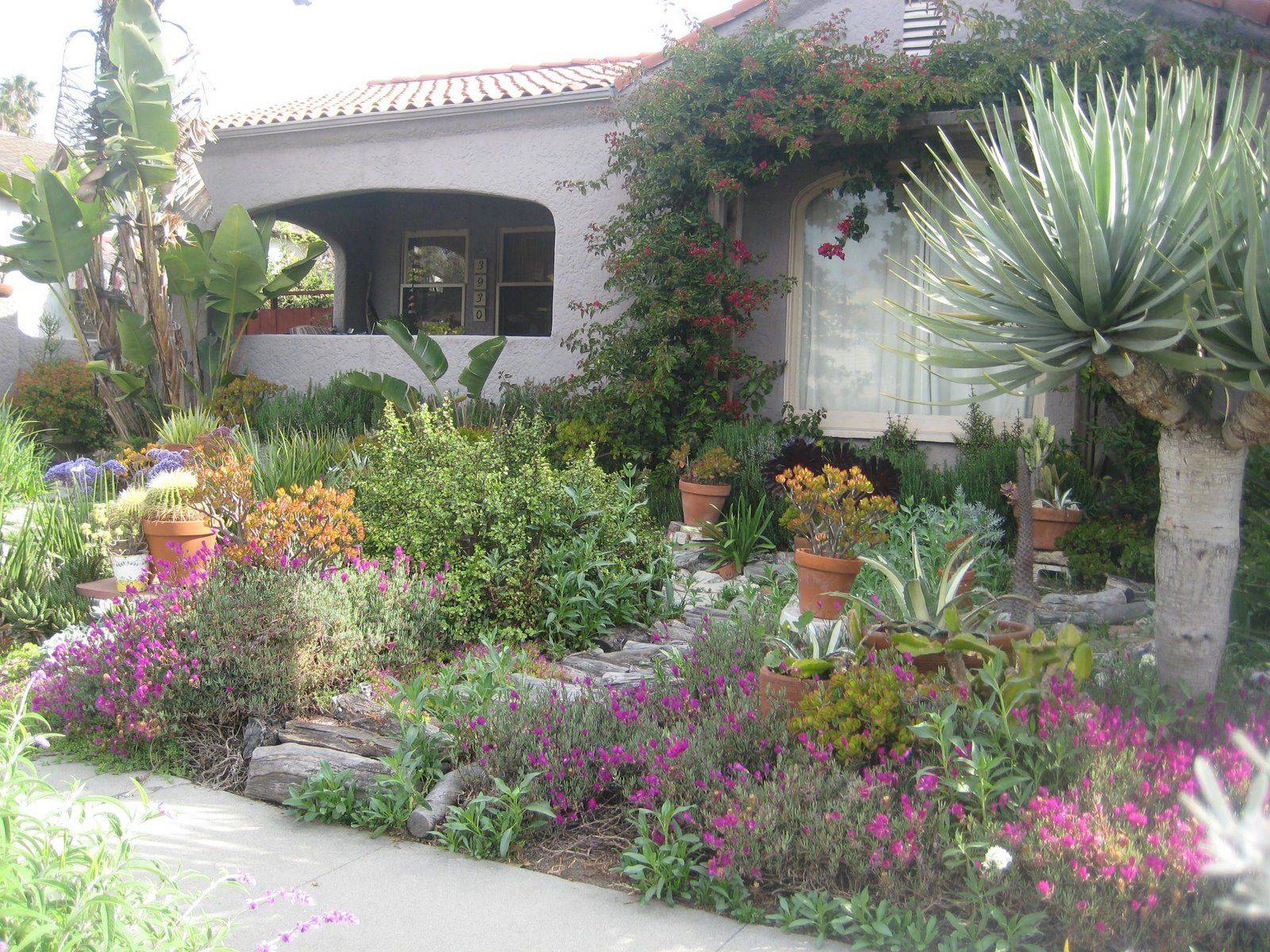 Drought Tolerant Landscape Front Yard