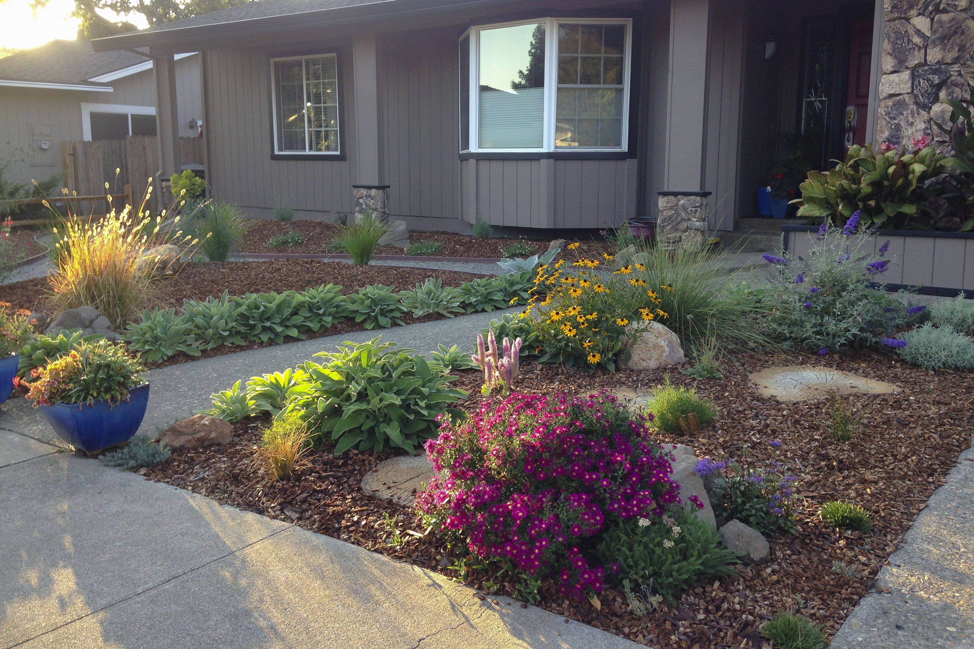 Drought Tolerant Plantings