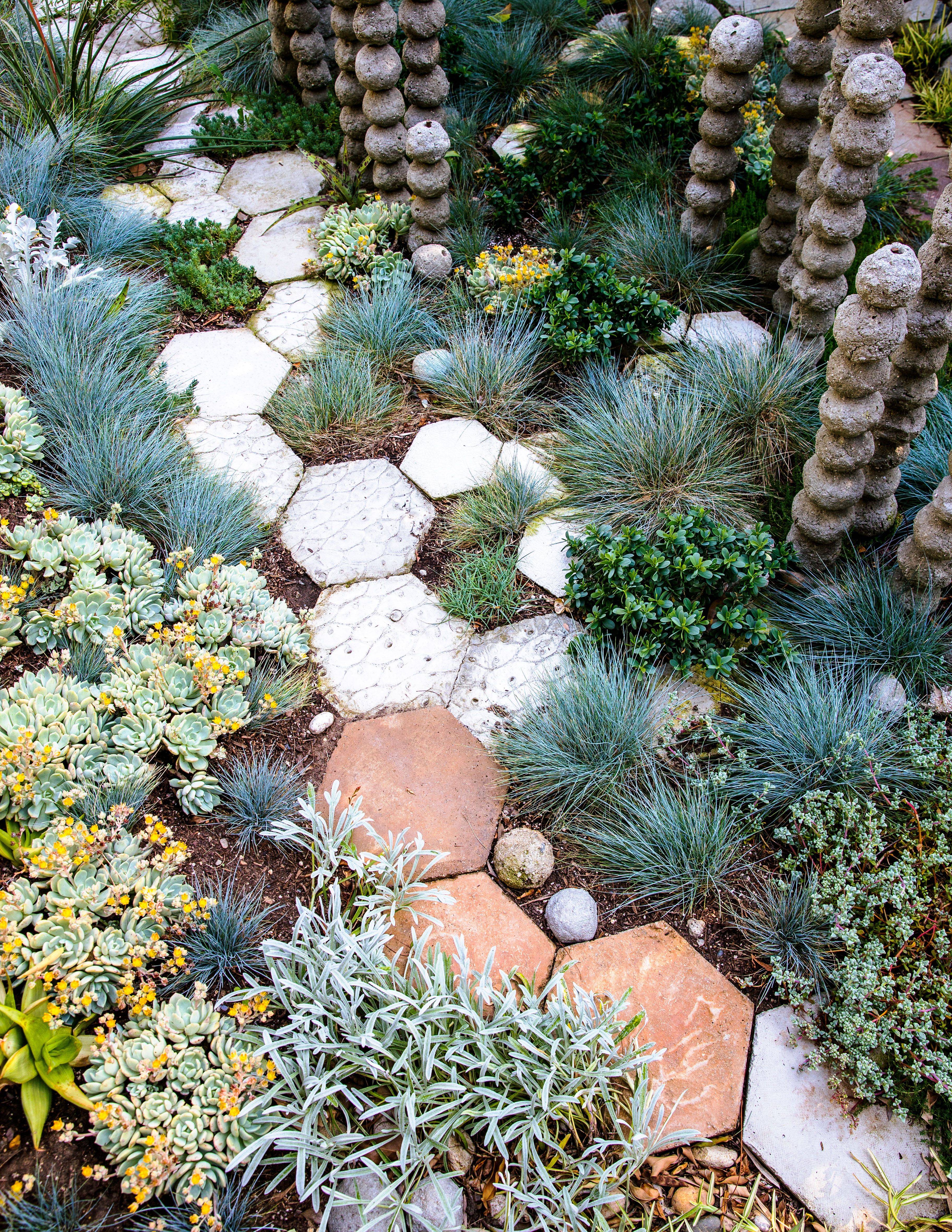 Succulent Landscaping
