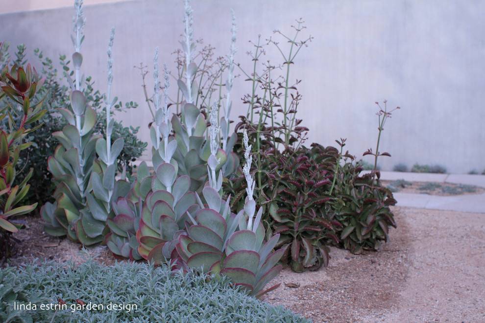 Southern California Pallets Garden