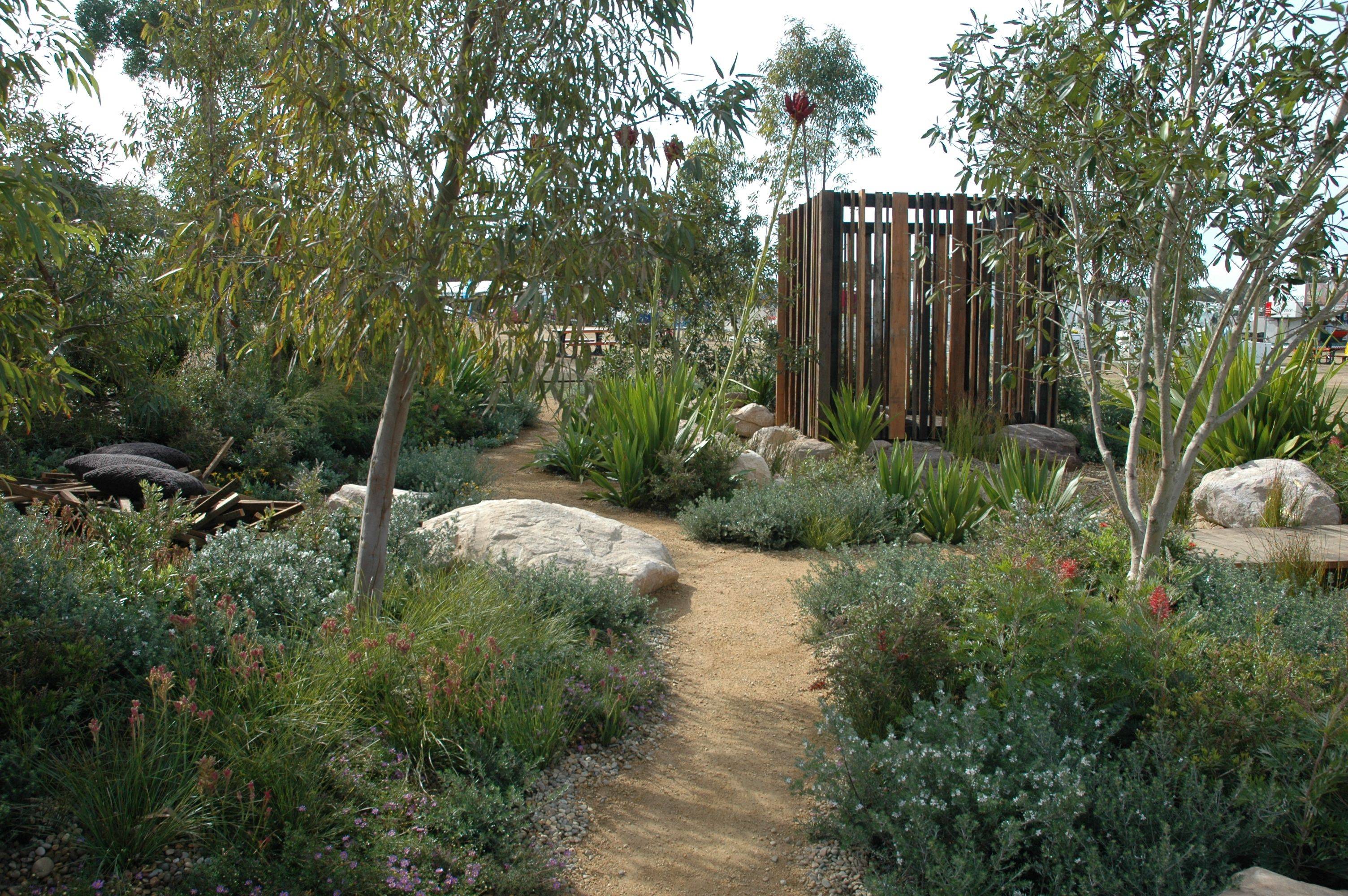 Native Australian Garden Design Ideas