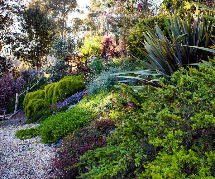 English Garden Front Garden Design