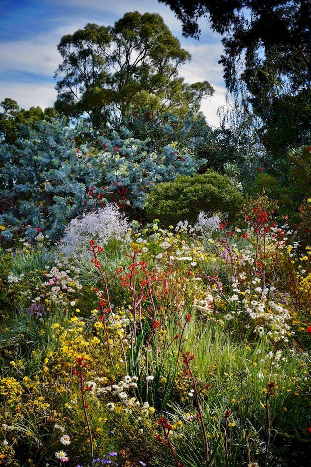 Australian Nature Images Cottage Garden