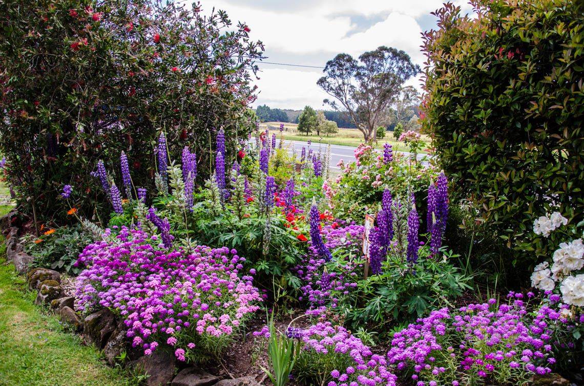 A Cottage Garden