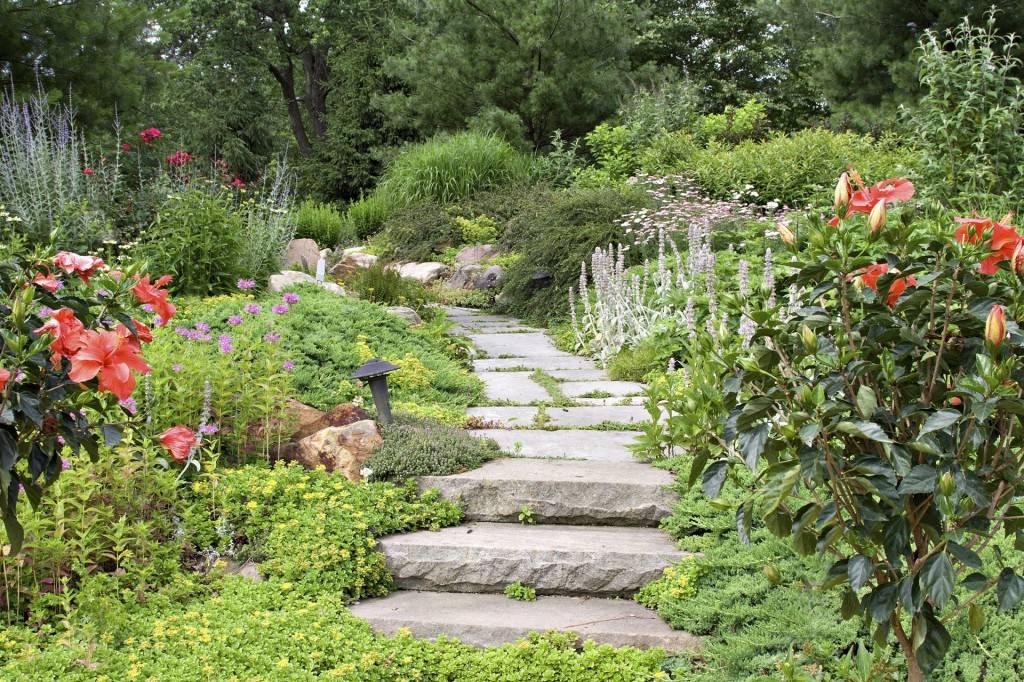 Pin On Gardenideas
