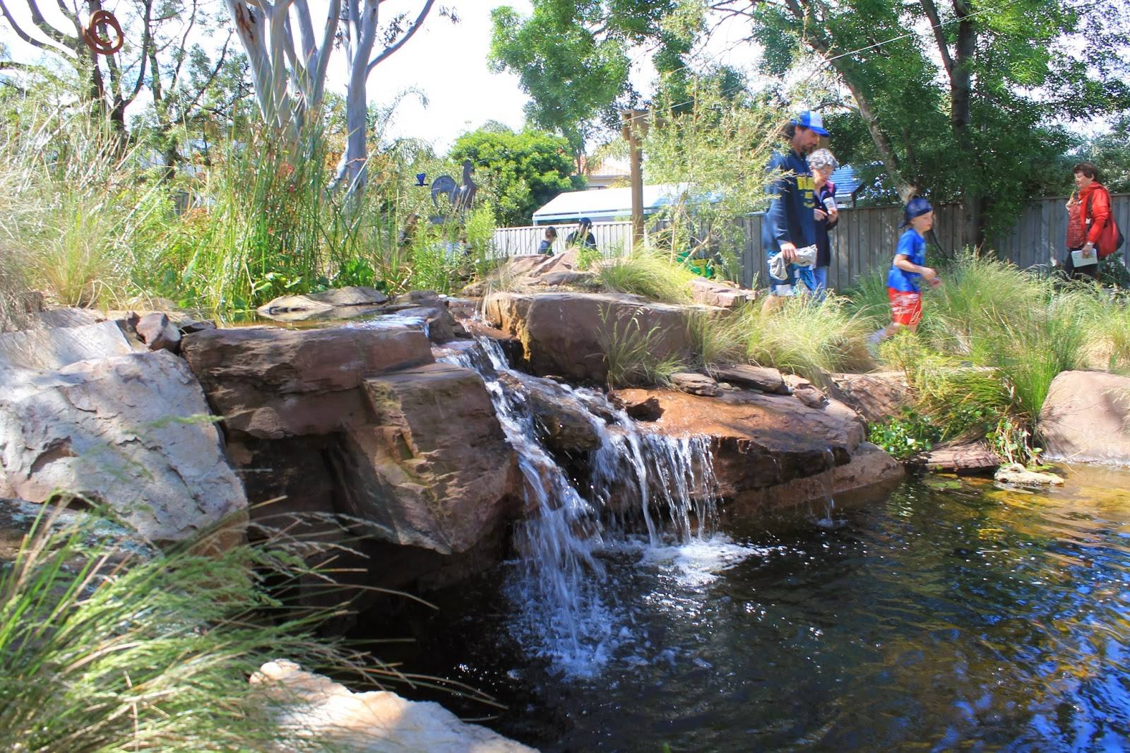 Australian Native Plants