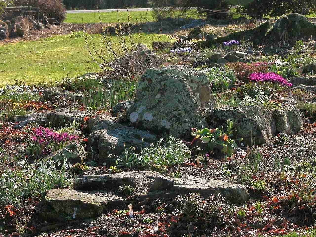 Australian Native Plants